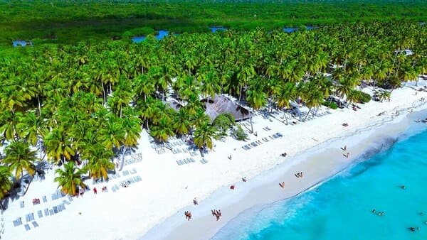 Isla Saona